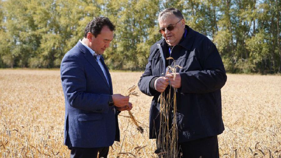 Sharapatpen shyraılanǵan Zerendi