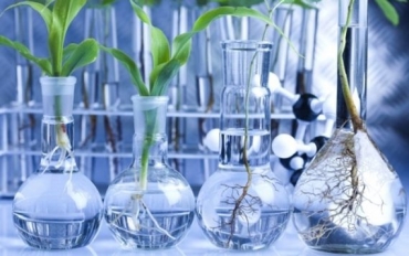 Innovasııalyq jasýshalyq tehnologııalar joǵary baǵaǵa laıyq