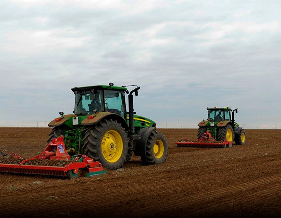 Tasqalada dándi daqyl jınaý aıaqtaldy