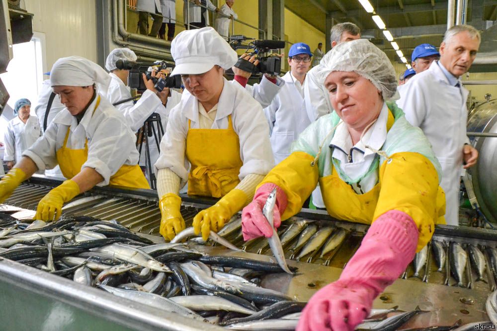 Qazaqstanda konservilengen balyq pen ýyldyryq óndirisi birden úsh ese artty