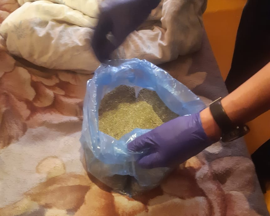 SQO-da esirtkige qatysty 162 qylmys ashylǵan