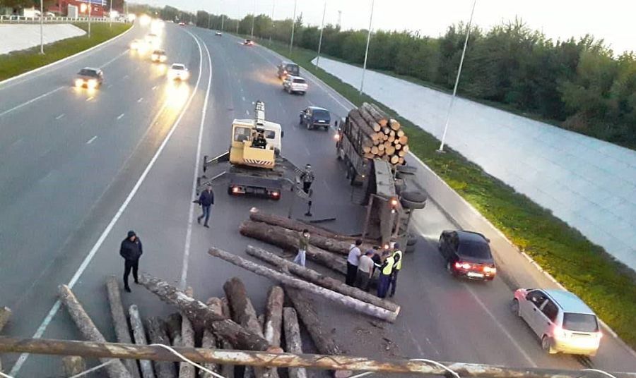 Boztaev kóshesine bóreneler shashyldy
