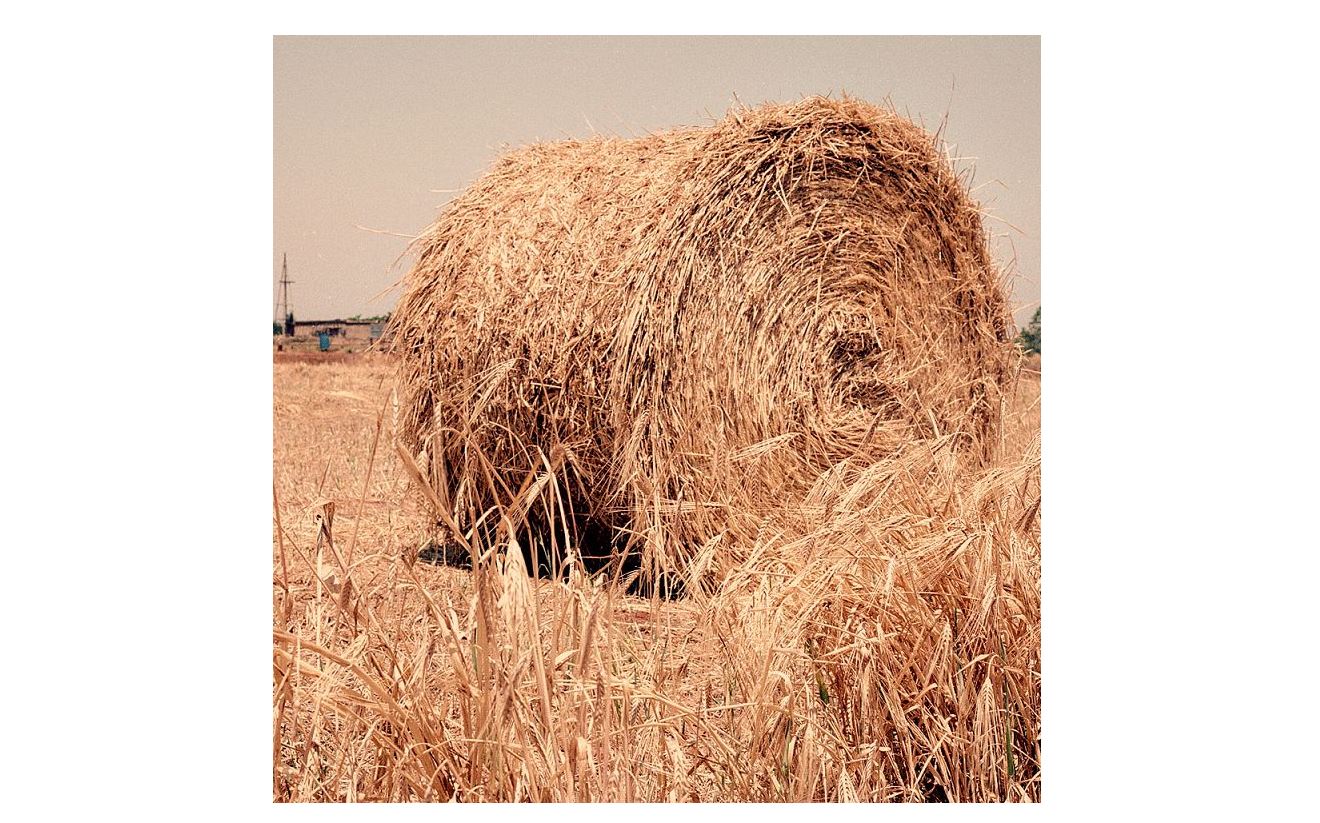 Mal azyǵy jetkilikti