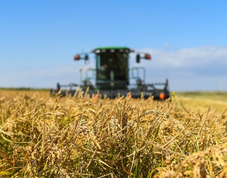 Eseli eńbek el yrysyna aınalar sát