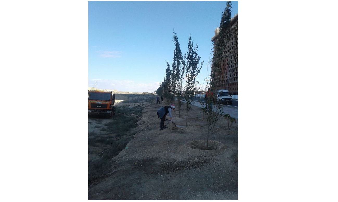 Jasyl jelekti «jaqtyrmaıtyn» Aqtaý