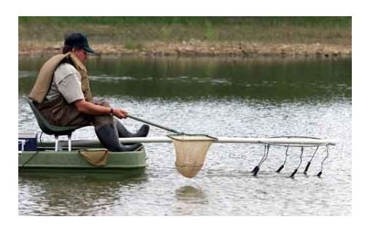 Elektrqarmaq – balyqty barady jalmap