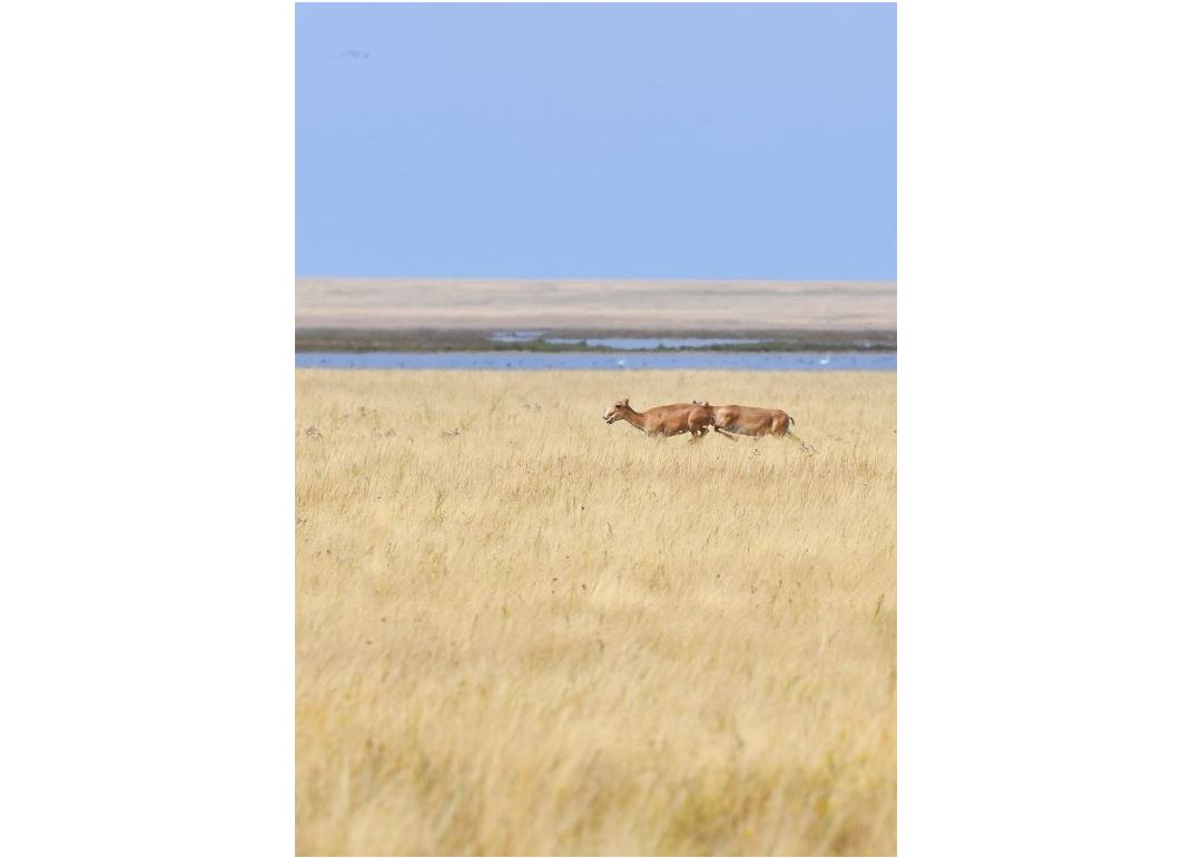 Tabıǵatty qorǵaı bilý – órkenıettilik belgisi