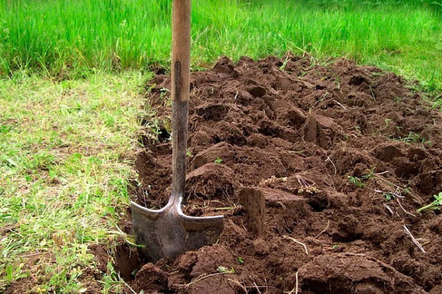 Tozǵan jerde tolymdy tabys bolmaıdy