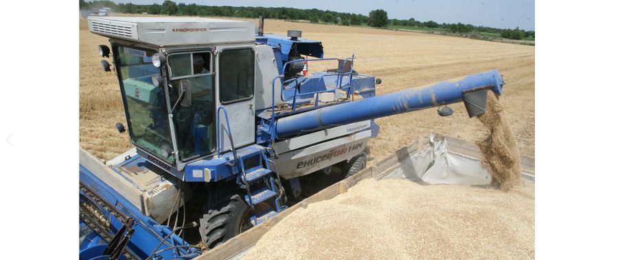 Dıqandar dándi daqyl orýdy aıaqtady