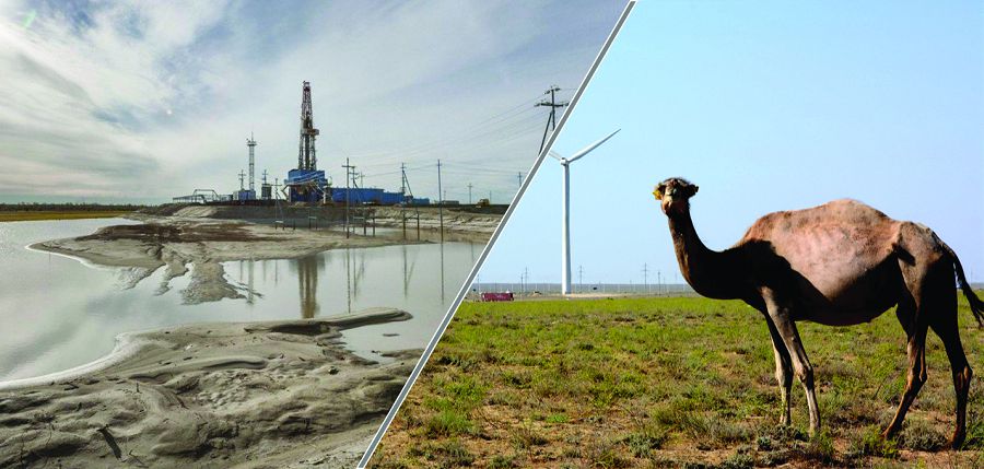 Shetpelikter nege shyryldap júr?!