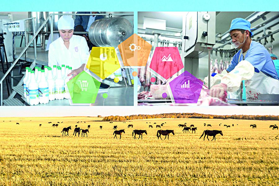 El ekonomıkasyna serpin beretin ulttyq joba