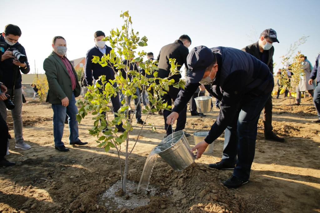 Atyraýdaǵy saıabaqta 1000 jemis aǵashy ósedi