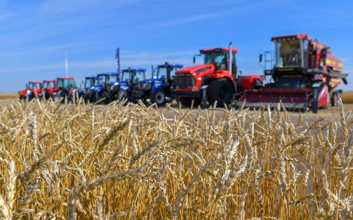 Qostanaıda egin naýqany aıaqtaldy