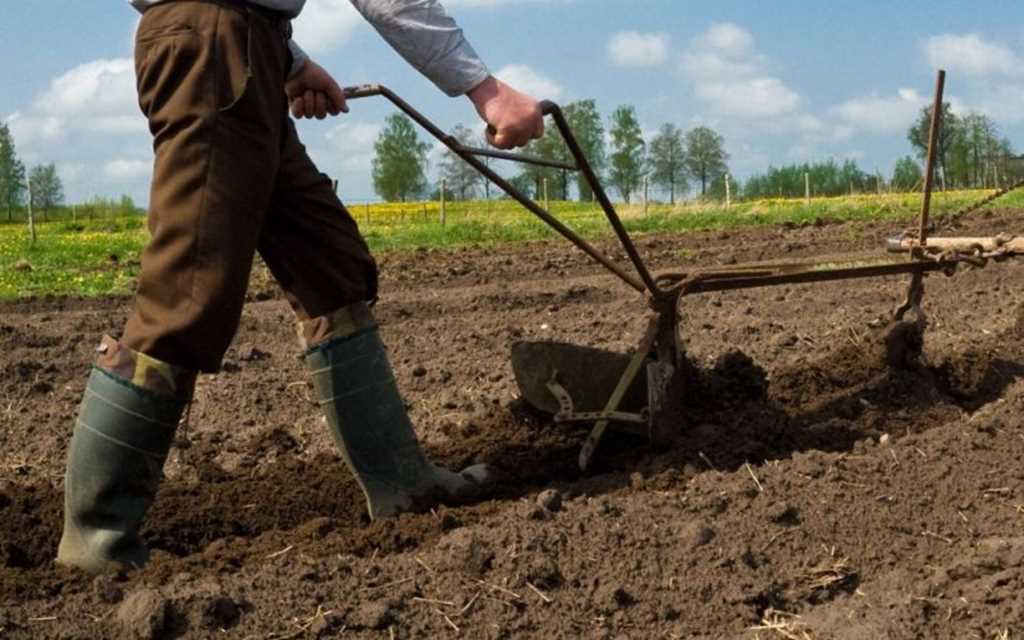 Qostanaı oblysynda 16 jastaǵy bala topyraq astynda qalyp, kóz jumdy