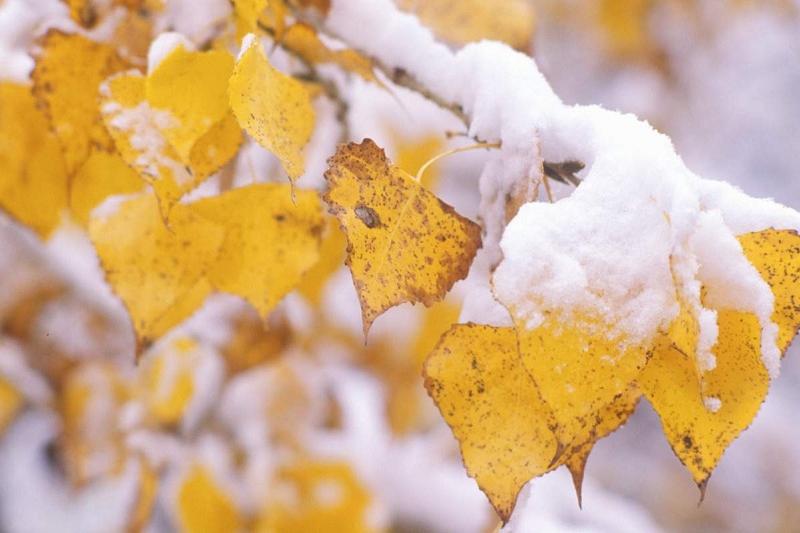 Birneshe oblysta aýa raıyna baılanysty eskertý jasaldy