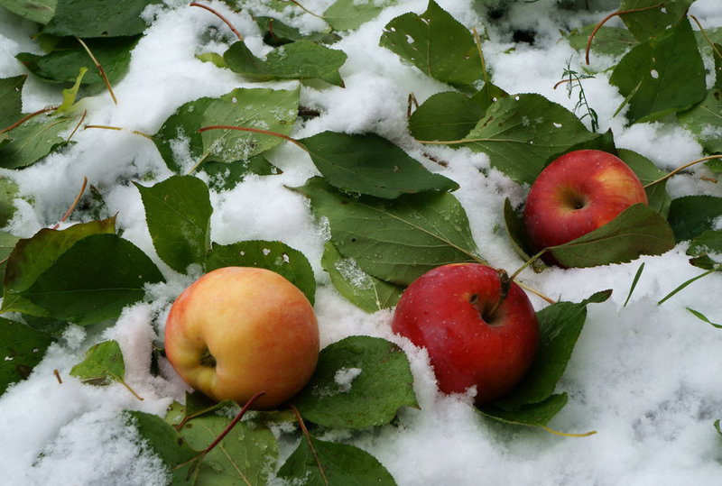 Nur-Sultanǵa alǵashqy qar tústi