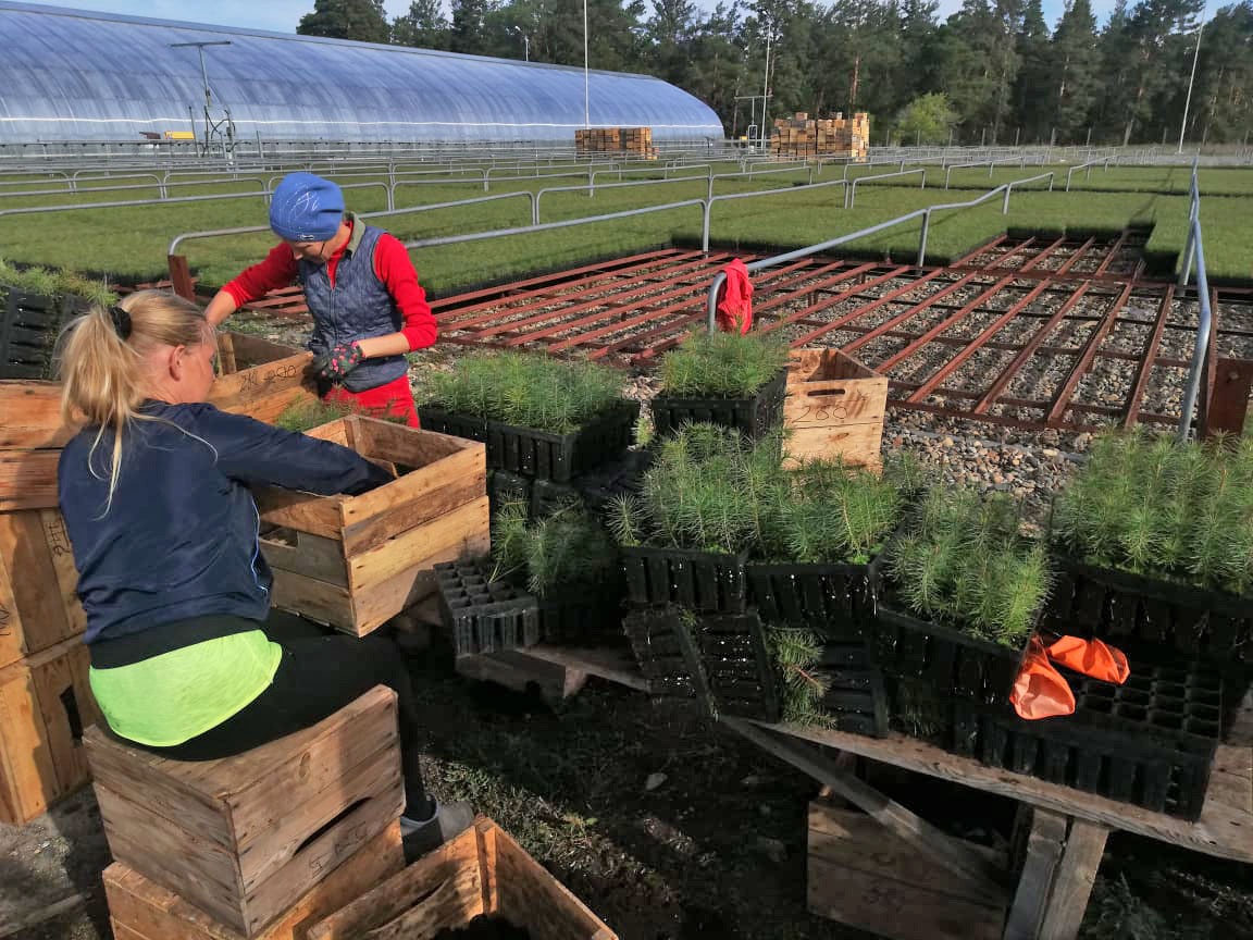 Kúzgi kóshet otyrǵyzý bastaldy