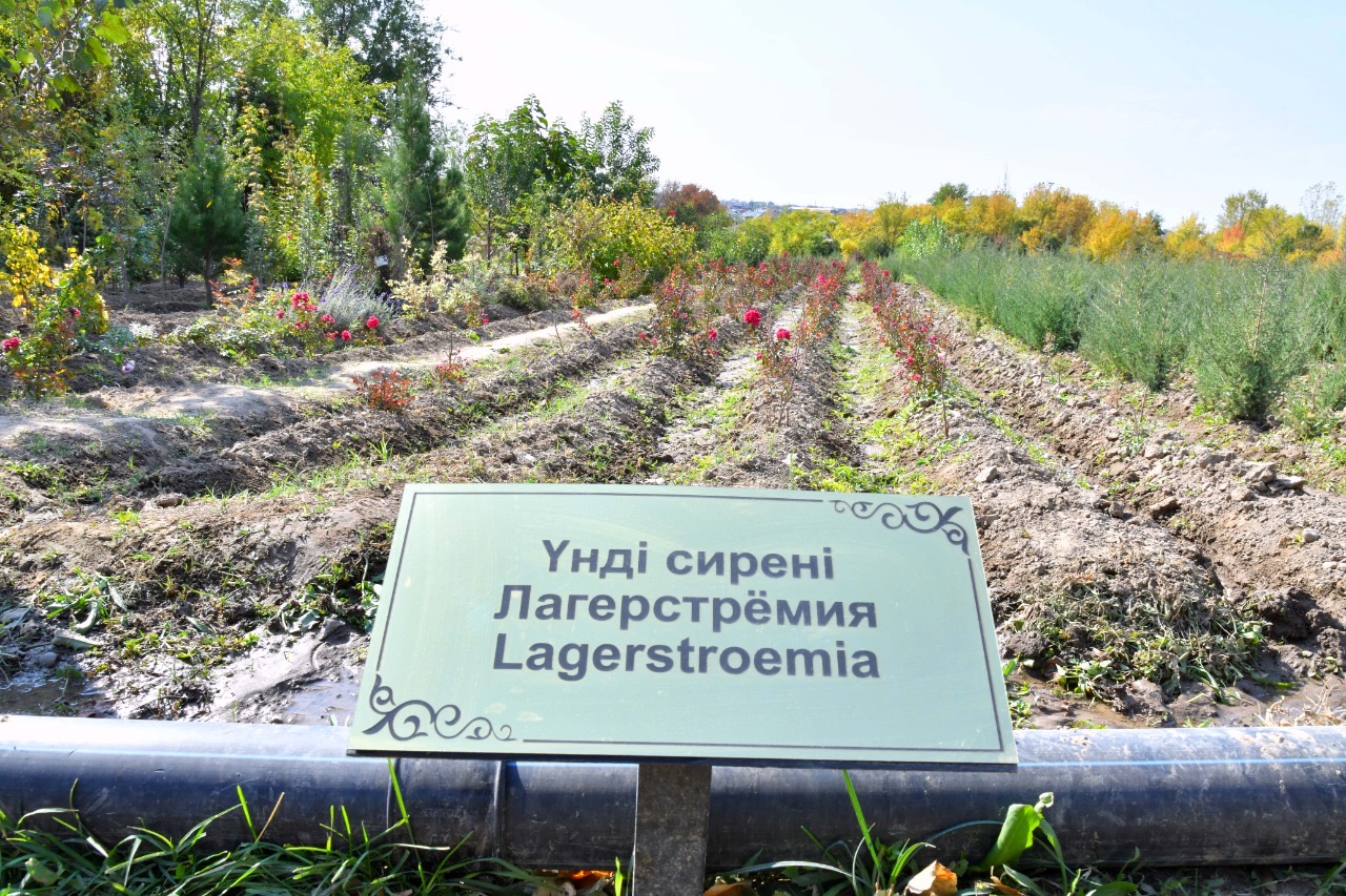 Shymkent qalasynyń ákimi qalanyń jasyl beldeýimen tanysty