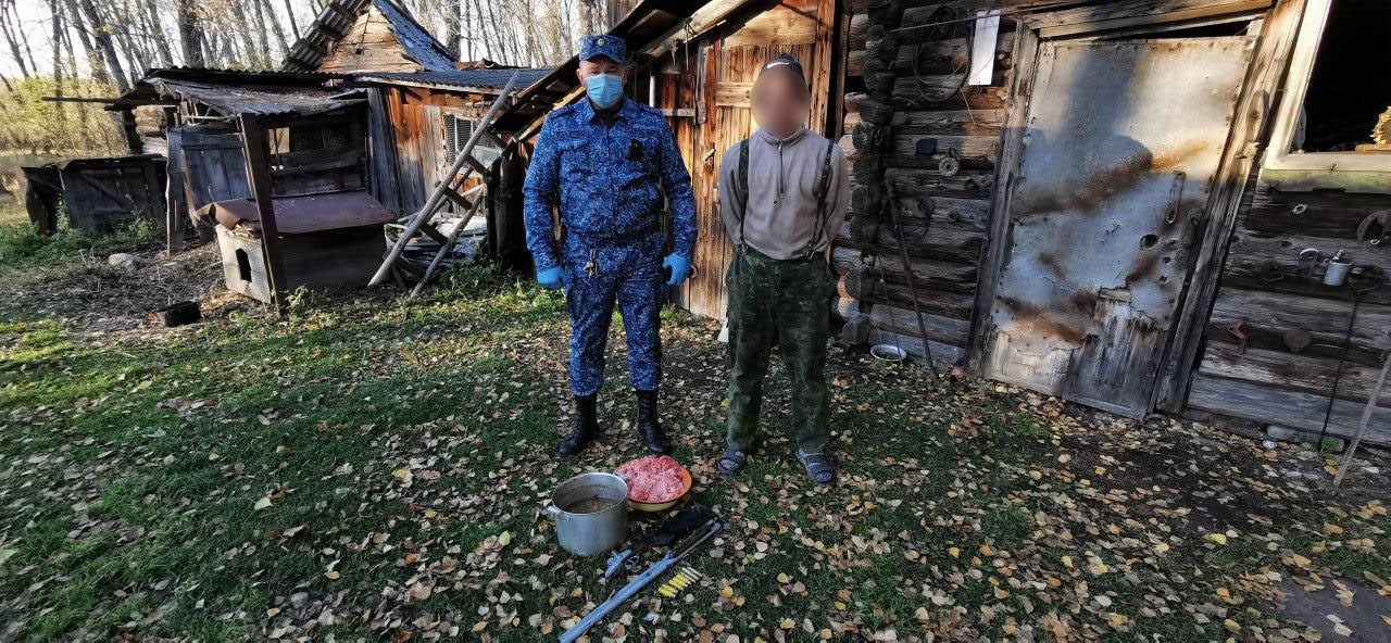 Aıý atqan brakoner ustaldy