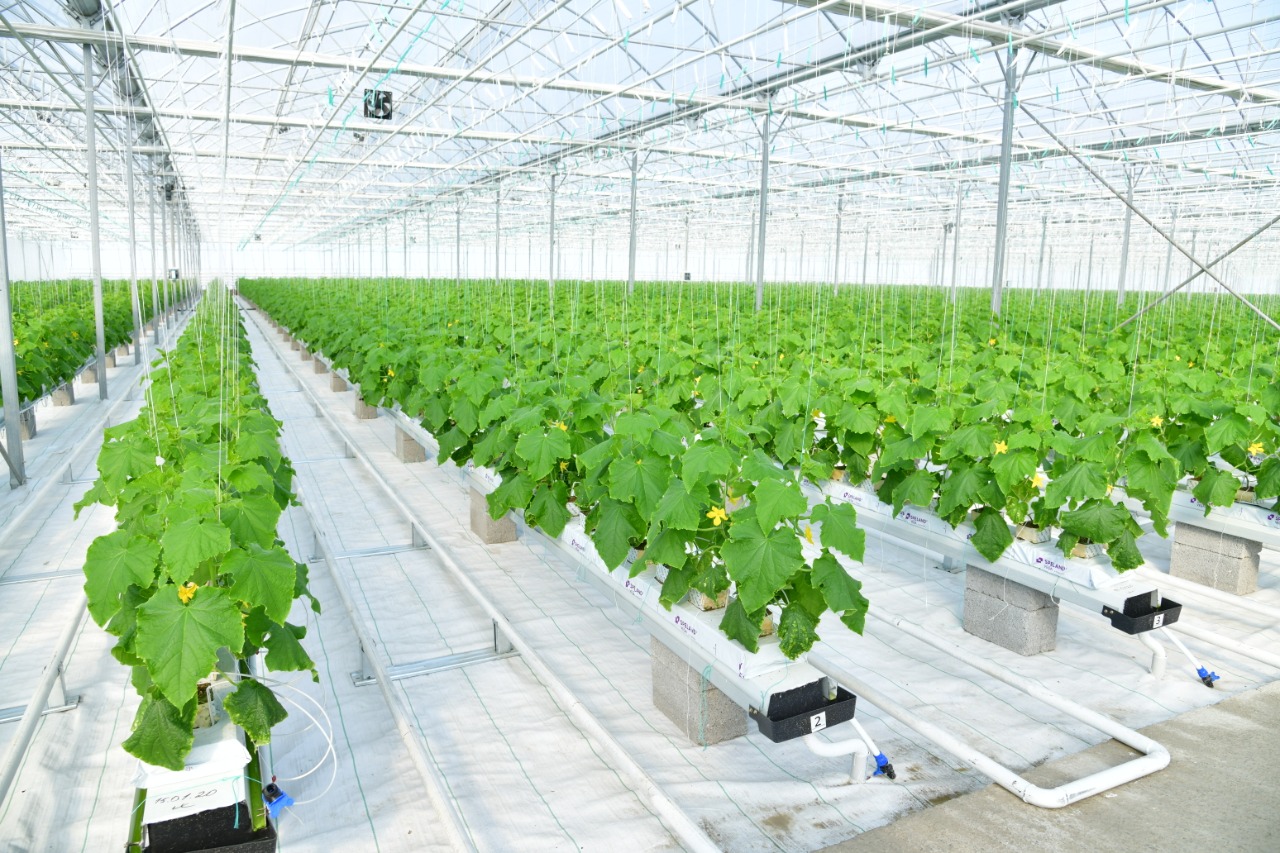 Shymkenttiń ekonomıkalyq ósim dınamıkasy eki jylda qalaı ózgerdi?