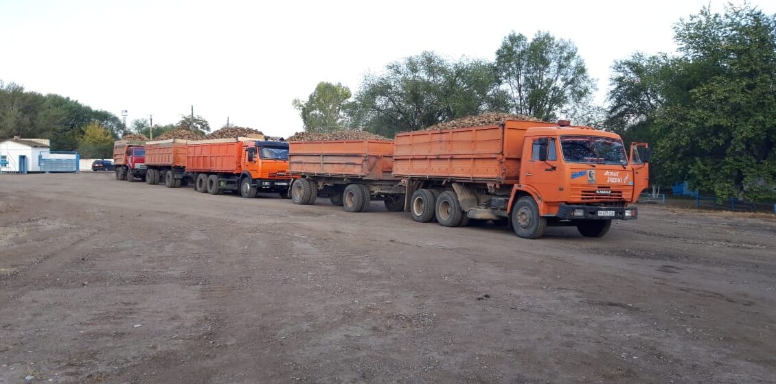 Jambyl oblysynda qant qyzylshasy jınalýda