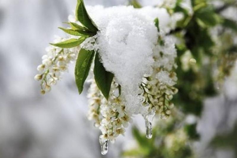 Búgin elimizde qar aralas jańbyr jaýady