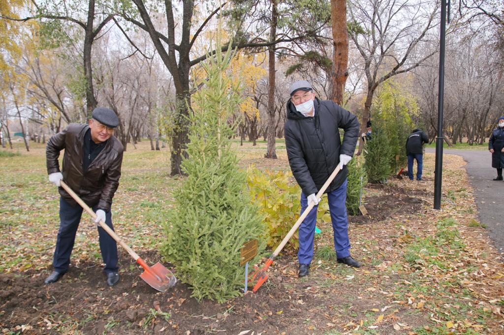 Kásipodaq uıymdary kásibı merekelerine oraı aǵash otyrǵyzdy