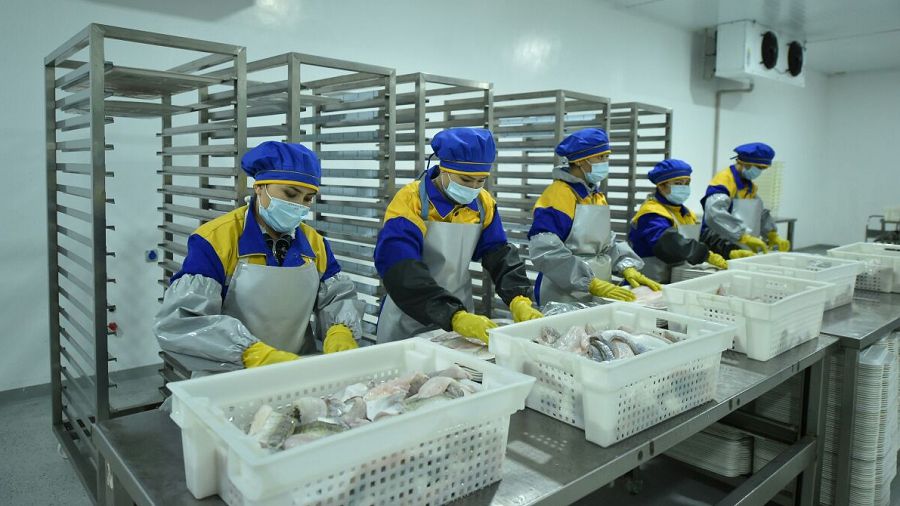 О́sire bilsek balyq ta, paıda ákeler halyqqa