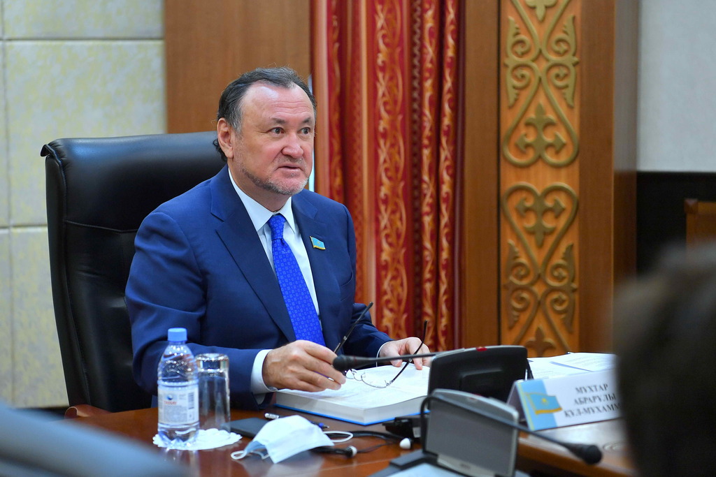 Senatorlar TMD PAA komıssııalarynyń otyrystaryna qatysty