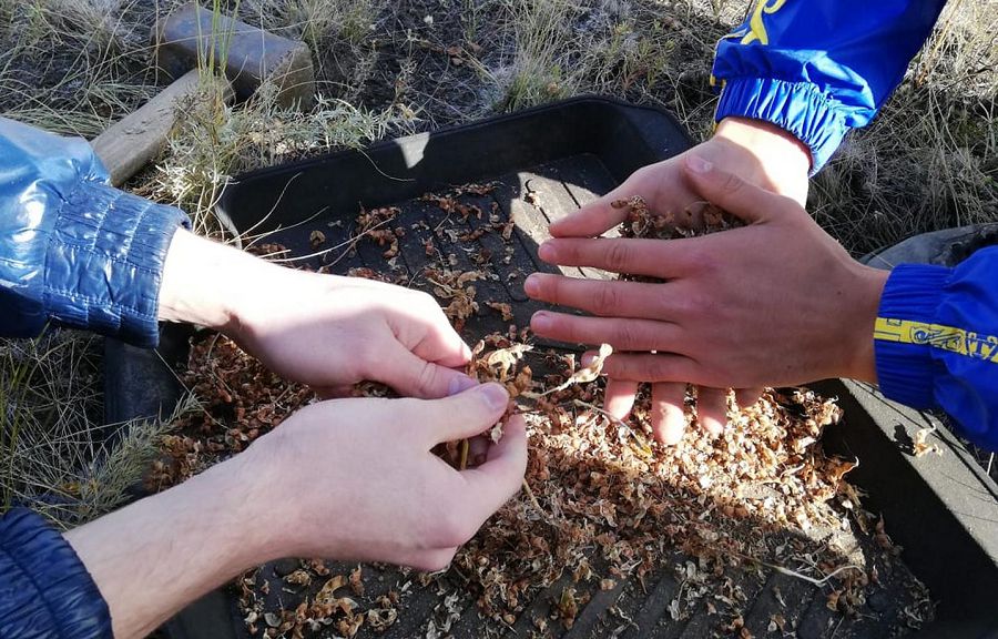 Mııany qoldan ósirmek