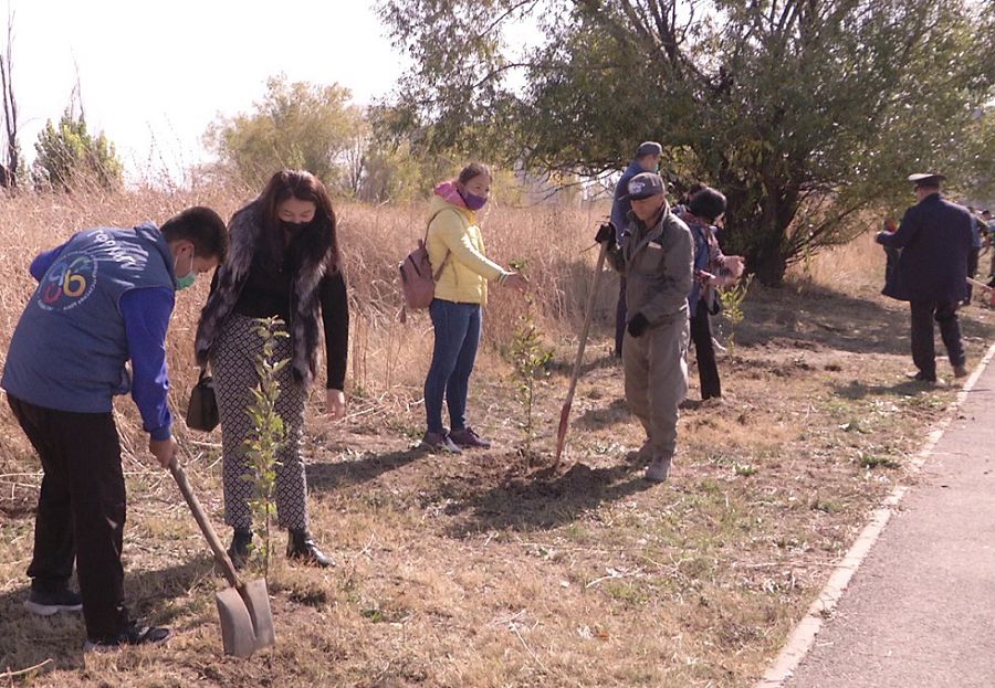 Eriktiler aǵash ekti