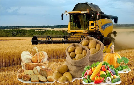 Agroónerkásip keshenin odan ári damytý mańyzdy