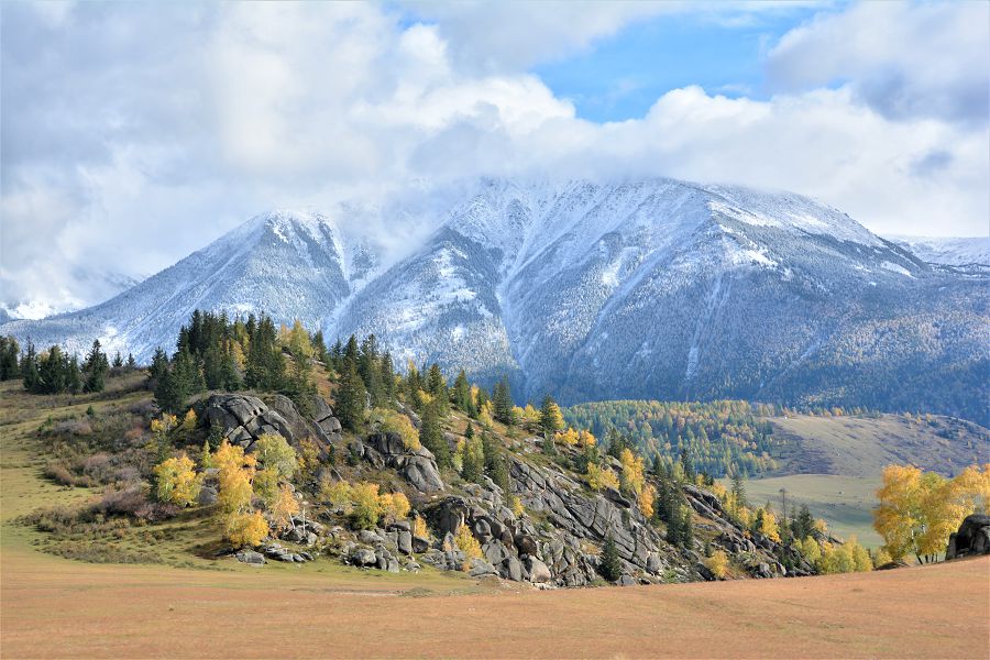 Qubylmaly qońyr kúz nemese sýretti sýrettegende