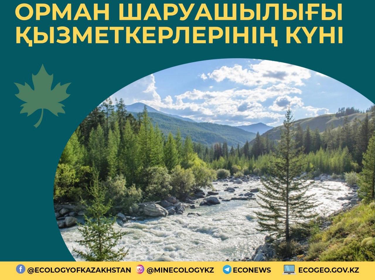 Ekologııa mınıstri orman sharýashylyǵy mamandaryn kásibı merekesimen quttyqtady