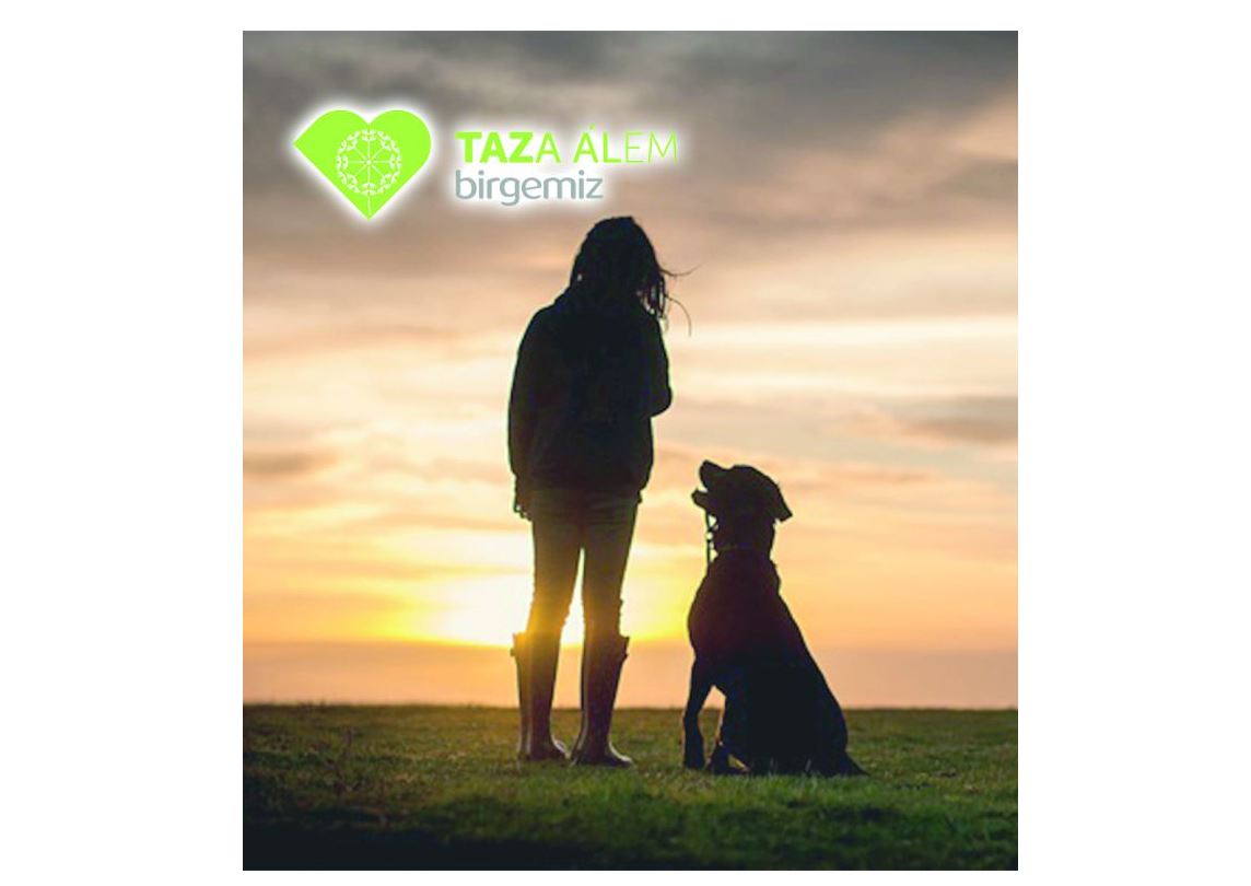 Janýarlardy qorǵaýdyń jańa tásili