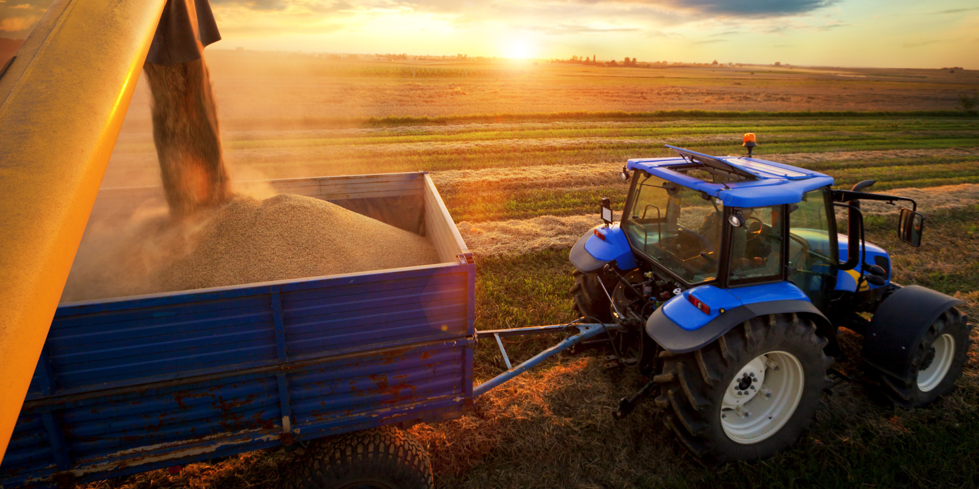 Dıqandar jańa tehnıkalarmen jaraqtanýda