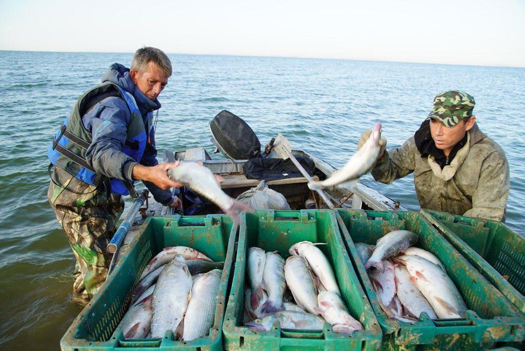Atyraý balyqshylary 5900 tonna balyq ónimin eksporttady
