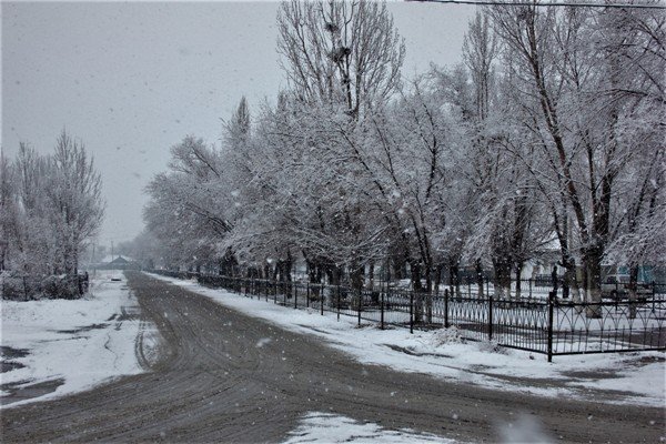 Qysqa daıyndyq tolyq aıaqtaldy