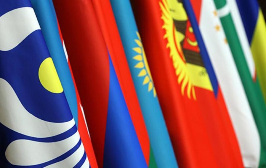 Senatorlar TMD PAA Turaqty komıssııasynyń otyrysyna qatysty