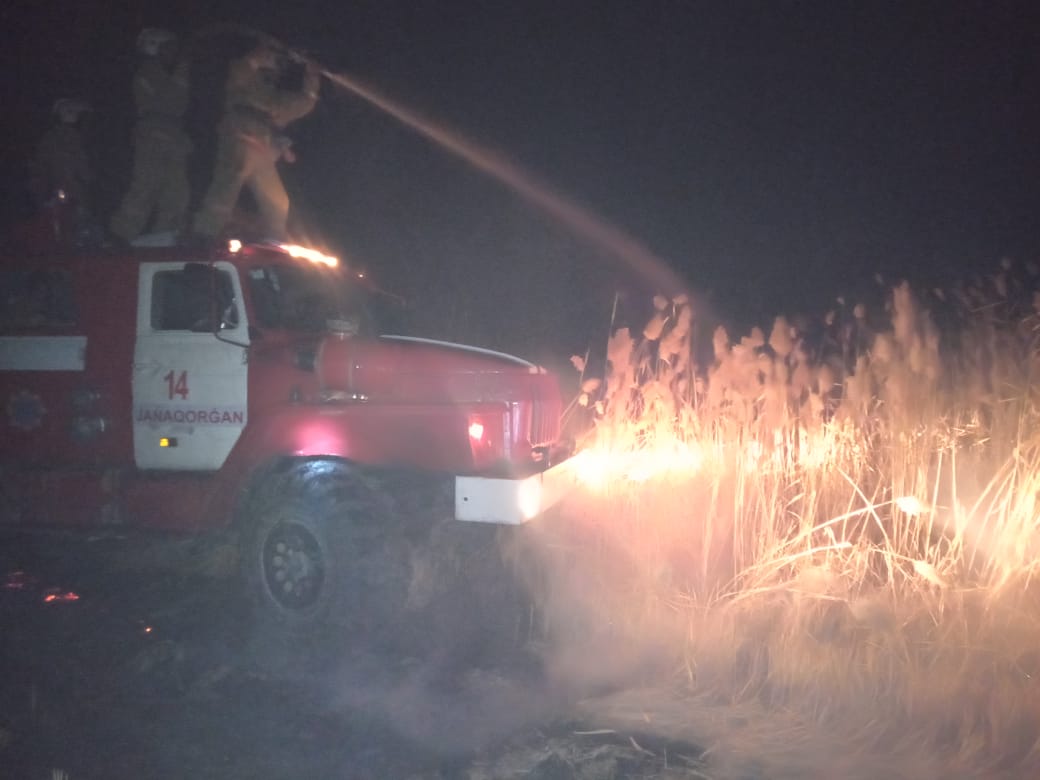 Daladaǵy órtte 700 bas qoı janyp ketti