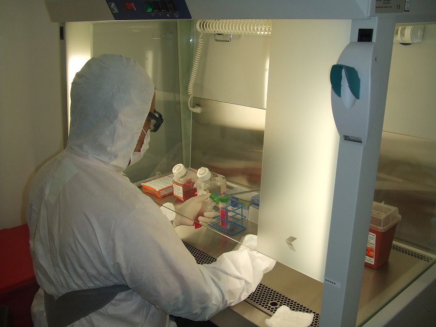 Koronavırýspen kúresten sabaq aldyq pa?