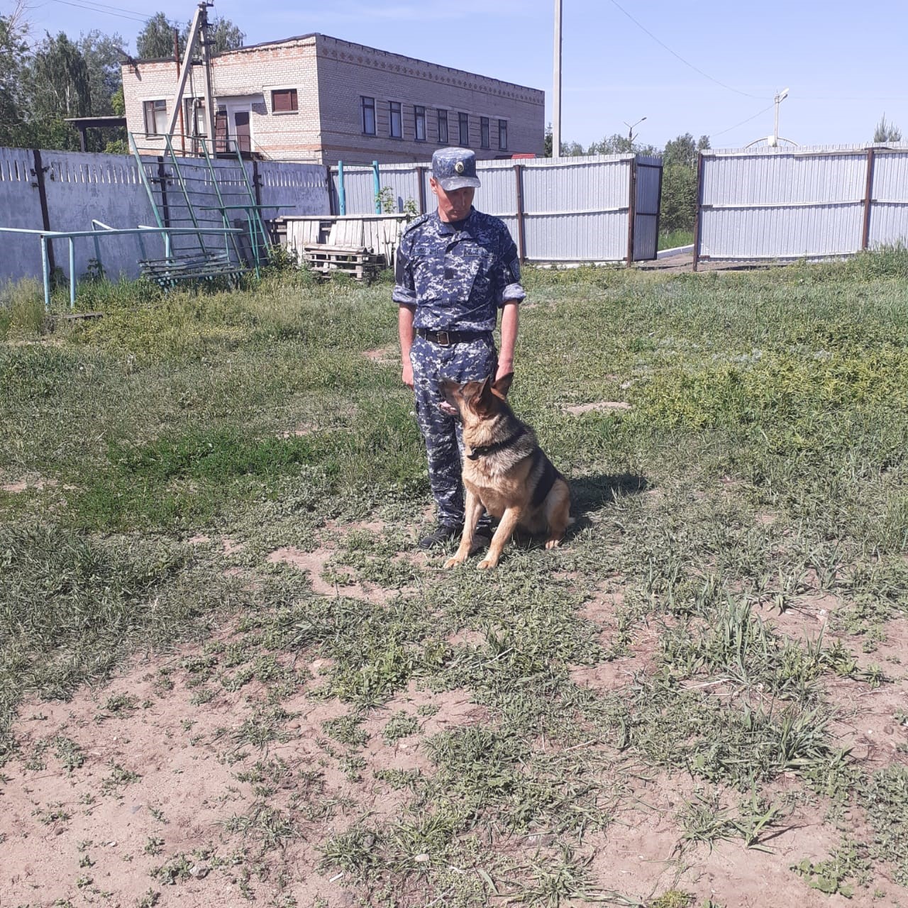 Qyzmettik ıtter 4 adam óltirýdi ashýǵa kómektesti