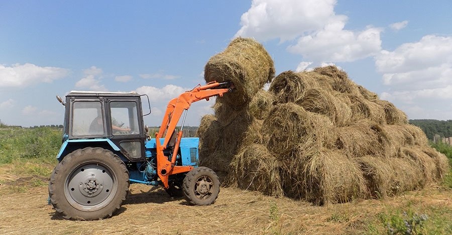 Mal azyǵy daıyn ba?