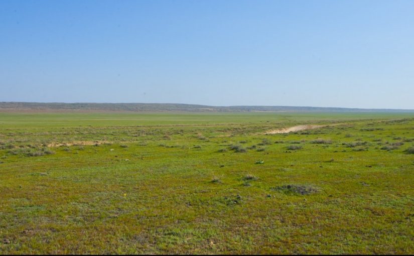 Bos jatqan 665 myń gektar jer anyqtaldy