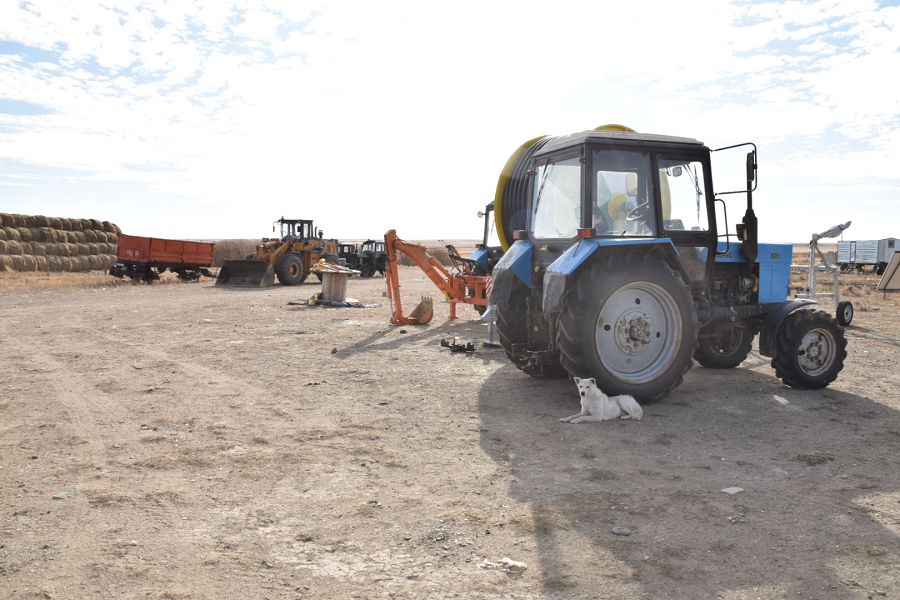 Oısylqaranyń boıyn tórt túlikke toltyrǵan