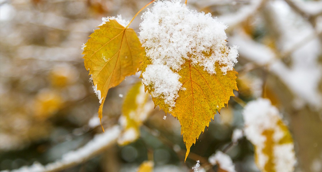 Búgin elimizdiń basym bóliginde jańbyr men qar jaýady