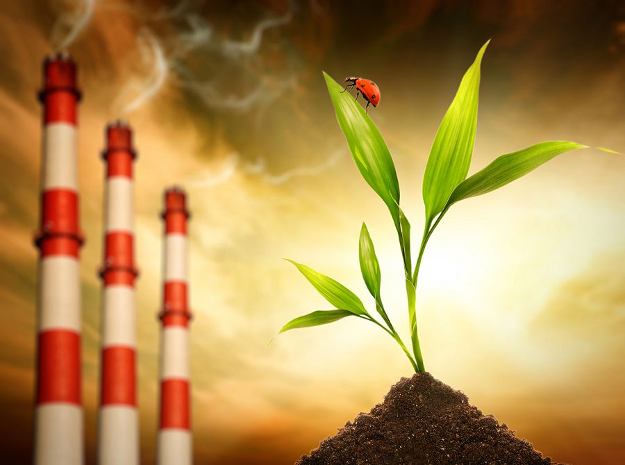 Qorshaǵan ortany qorǵaý zańnamalary qaraldy