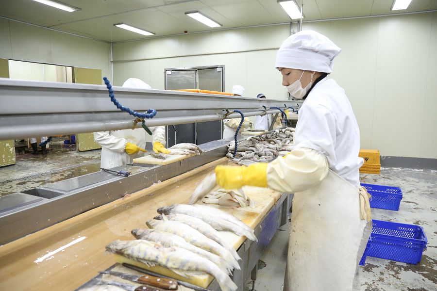 Teńizdi aýdandaǵy tyńǵylyqty tirlik