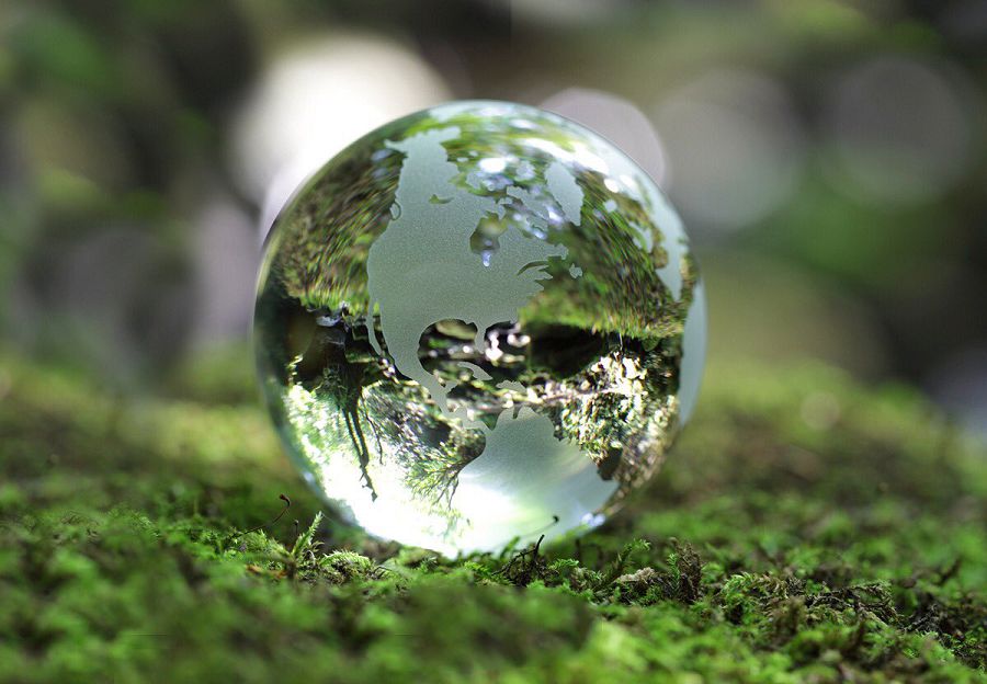 Qazaqstandyq qos qoryq bıosferalyq rezervattarǵa qosyldy