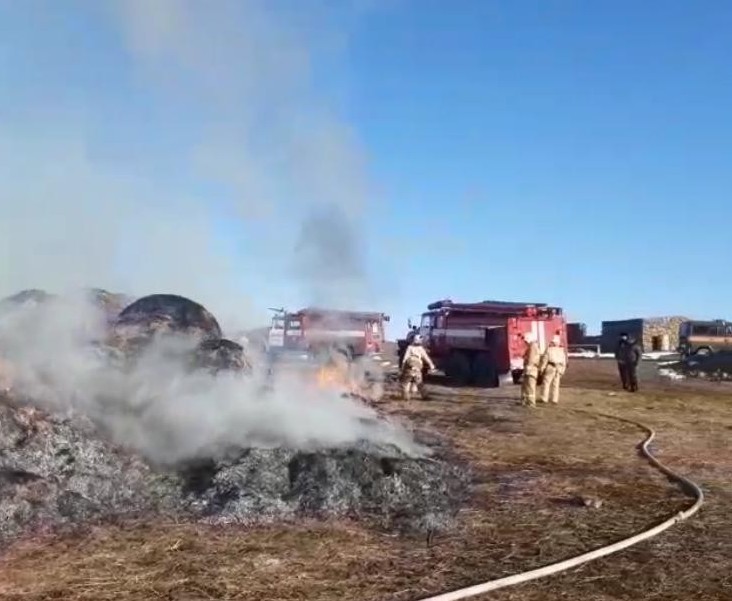 Sharýashylyq jetekshisi Ishki ister mınıstrinen kómek kútedi